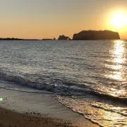 ちーこの画像