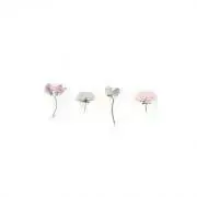 ❁ほたて❁の画像