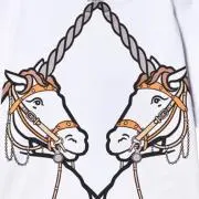 AEIFTの画像
