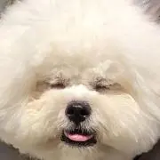エリザベス