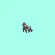Taishiubaの画像