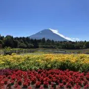 あさぽんの画像