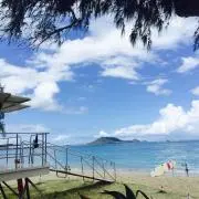 Ranの画像