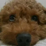あ～ちゃん30(♡∀♡)の画像