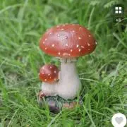hitoonの画像