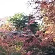 YUI☆断捨離中の画像