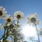 ！！！の画像