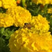 す*し様 簡易ユニット無し グリッドマン スマパチ 加工済み品 - メルカリ