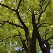 るんるんの画像