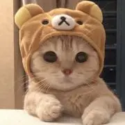マロンちゃん