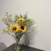 ららの画像