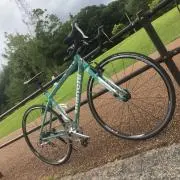 れんへんの画像