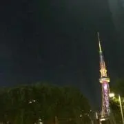 しらせの画像