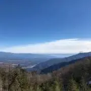 まるちーずの画像