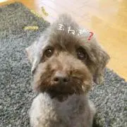おま