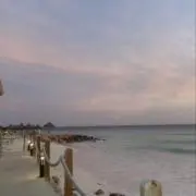 Tvidの画像