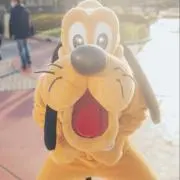 pinoの画像