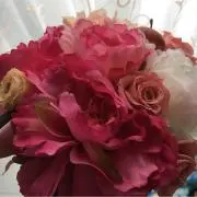 しゅわっとちゃんの画像