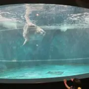 じゅりの画像