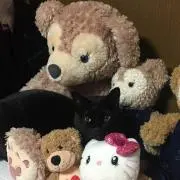 きき