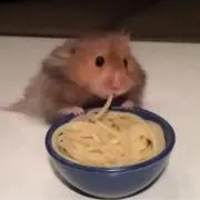 けいの画像
