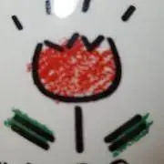 チューリップの画像