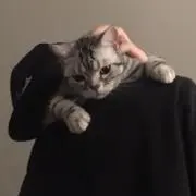 ぱんだまんの画像
