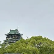 sacoの画像