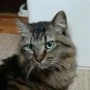きよみ
