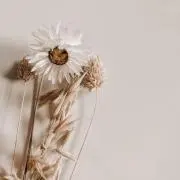 790の画像