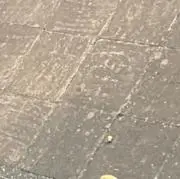 mの画像