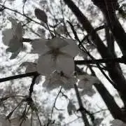 優you