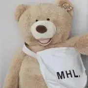 きんの画像
