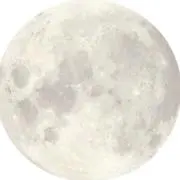 Smileの画像