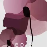 しょーの画像
