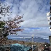 つばめの画像