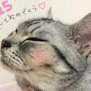 ゆっこたん