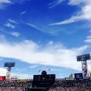 ジジ