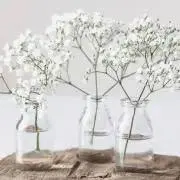 .mitsu *.の画像