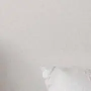 skkの画像