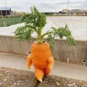 うりの画像