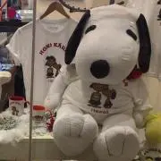さっちの画像