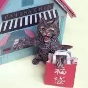 青猫商会の画像