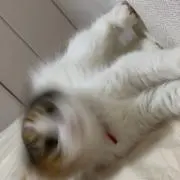 める