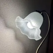 himの画像
