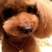 konatsの画像