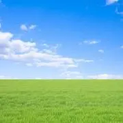 かもしかの画像