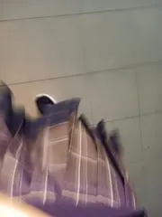 Taneの画像