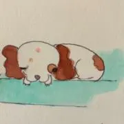gessorikenの画像