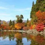 ☆スカイスター☆の画像